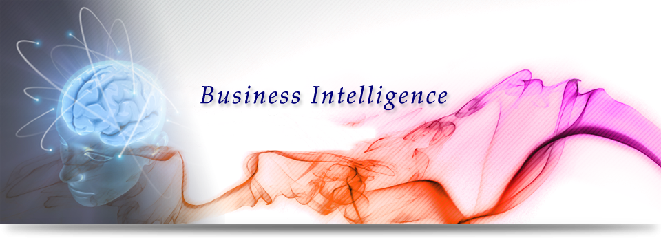 Business Intelligence