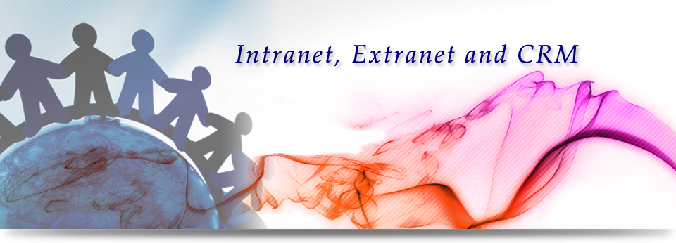 Intranet, Extranet and CRM